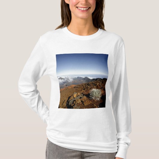 Silverwort auf Haleakala Krater Rim aus der Nähe T-Shirt (Vorderseite)