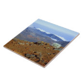 SilverWort auf Haleakala Krater Rim von nahe 2 Fliese (Seite)