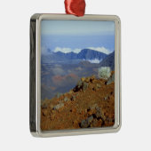 SilverWort auf Haleakala Krater Rim von nahe 2 Silbernes Ornament (Rechts)