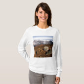 SilverWort auf Haleakala Krater Rim von nahe 3 T-Shirt (Vorne ganz)