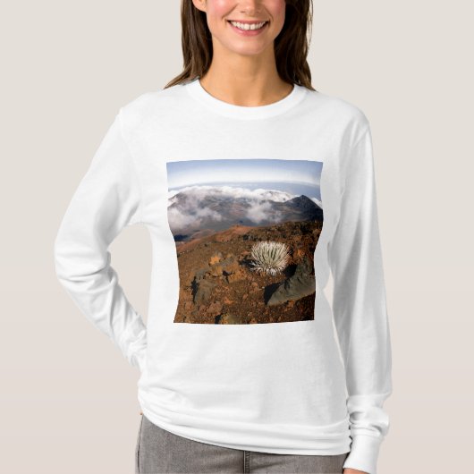 SilverWort auf Haleakala Krater Rim von nahe 3 T-Shirt (Vorderseite)