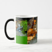 Silvery Blue Dart Frog CB Verwandlungstasse (Links)