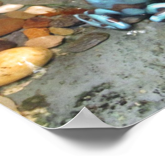 Silvery Blue Dart Frog Poster (Ecke)