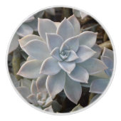 Silvery Blue Succulent Botanical Fotografic Keramikknauf (Vorderseite)