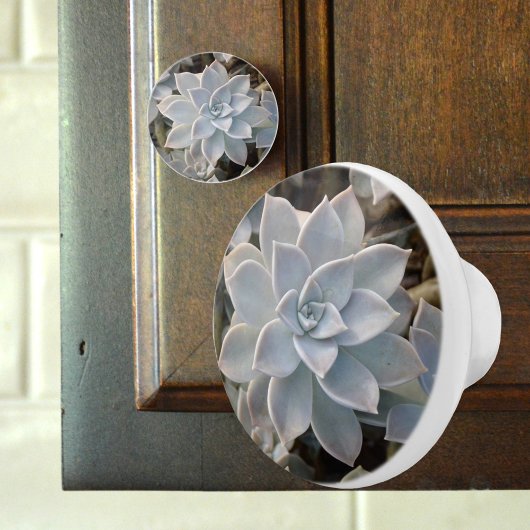 Silvery Blue Succulent Botanical Fotografic Keramikknauf