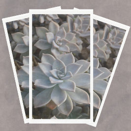 Silvery Blue Succulents Papierhandtücher Serviette