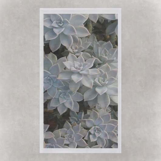 Silvery Blue Succulents Serviette