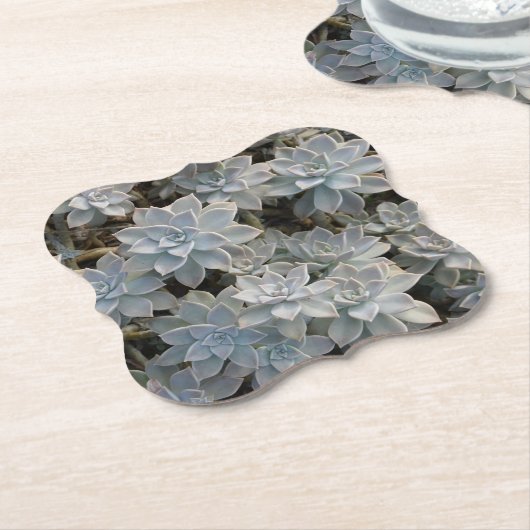 Silvery Blue Succulents Untersetzer (angewinkelt)