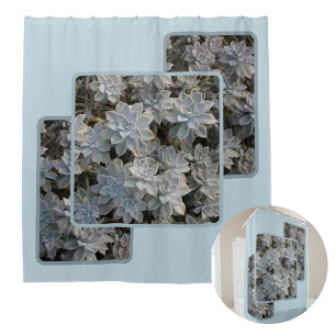 Silvery Blue Succules botanische Fotografie Duschvorhang