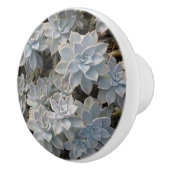 Silvery Blue Succules botanische Fotografie Keramikknauf (Rechts)