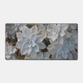 Silvery Blue Succules botanische Fotografie Schreibtischunterlage (Vorderseite)