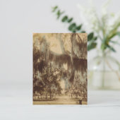 Silvery Draperies of Daytona Postcard Postkarte (Stehend Vorderseite)