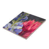 Silvery Lupine, Lavendel Paintbrush Fliese (Seite)