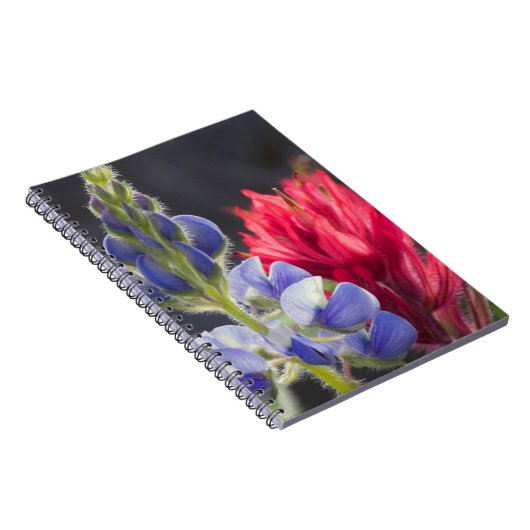 Silvery Lupine, Lavendel Paintbrush Notizblock (Rechte Seite)