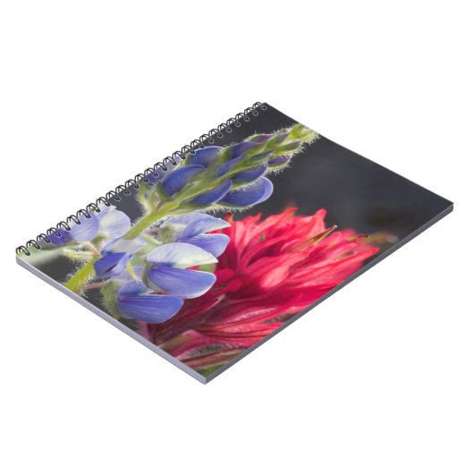 Silvery Lupine, Lavendel Paintbrush Notizblock (Linke Seite)