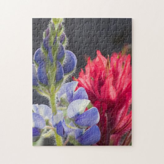 Silvery Lupine, Lavendel Paintbrush Puzzle (Vertikal)
