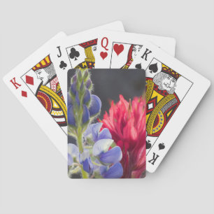 Silvery Lupine, Lavendel Paintbrush Spielkarten