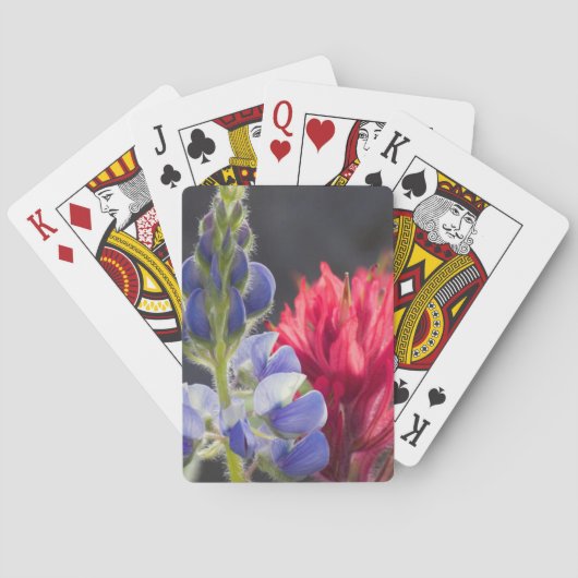 Silvery Lupine, Lavendelpinsel Spielkarten (Rückseite)