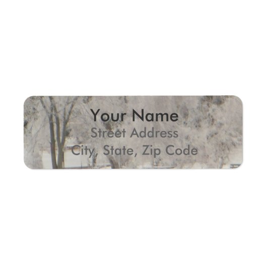 Silvery Trees (Vorne)