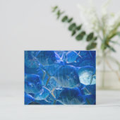 Silvery Tropical Fish Postcard Postkarte (Stehend Vorderseite)
