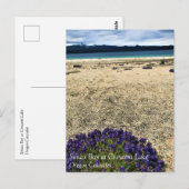 Simax Bay am Crescent Lake, Oregon Postcard Postkarte (Vorne/Hinten)