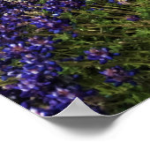 Simax Bay at Crescent Lake Poster (Ecke)