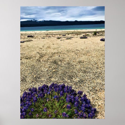 Simax Bay at Crescent Lake Poster (Vorne)