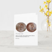 SIMBA BIRTHDAY CARD KARTE (Gelbe Blume)