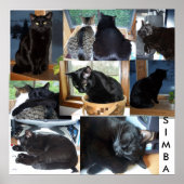 SIMBA POSTER (Vorne)