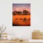 Simbabwe - die reine Beschaffenheit der Antilope Poster (Küche)