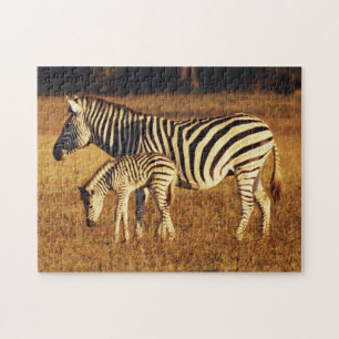 Simbabwe, Hwange National Park, Linkwasha Puzzle