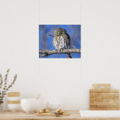 Simbabwe. Nahes Aufgehen der Perleneule auf Poster (Küche)