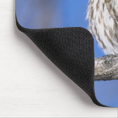 Simbabwe. Nahes Aufgehen der Perlkauz gepunktet Mousepad (Ecke)