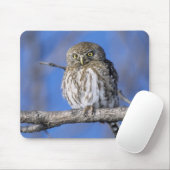 Simbabwe. Nahes Aufgehen der Perlkauz gepunktet Mousepad (Mit Mouse)