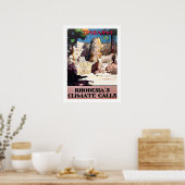 Simbabwe, Rhodesiens Klimaschutz, Vintag, Reisen Poster (Küche)