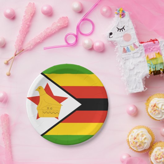 Simbabwe - Teller, Party, Sport, Simbabwe Pappteller