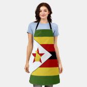 Simbabwische Flagge Schürze (Getragen)