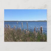 Simcoe-See Postkarte (Vorderseite)