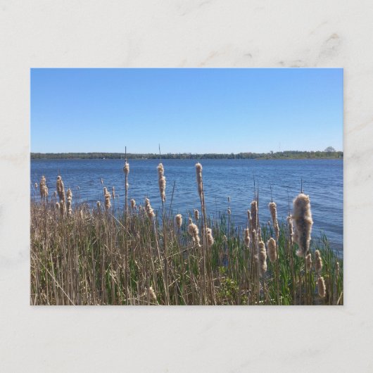 Simcoe-See Postkarte (Vorderseite)