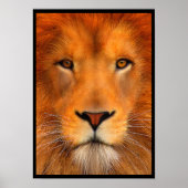 Simha Lion Poster (Vorne)