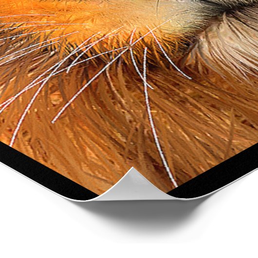 Simha Lion Poster (Ecke)