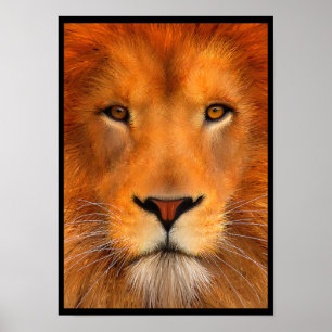 Simha Löwe-Plakat Poster