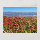 Simi Valley California Postkarte (Vorderseite)