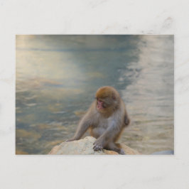 Simian Serenity by Shore Postkarte