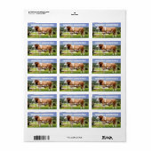 Simmental Bull in Weide Adressaufkleber (Vorne)