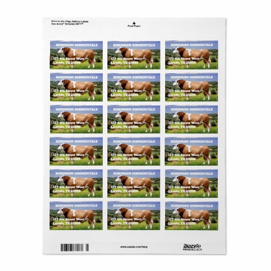 Simmental Bull in Weide Adressaufkleber (Vorne)