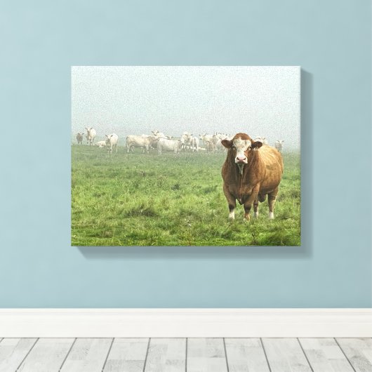 Simmental Bull in Weide Leinwanddruck (Insitu (Holzboden))