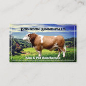 Simmental Bull in Weide Visitenkarte (Vorderseite)