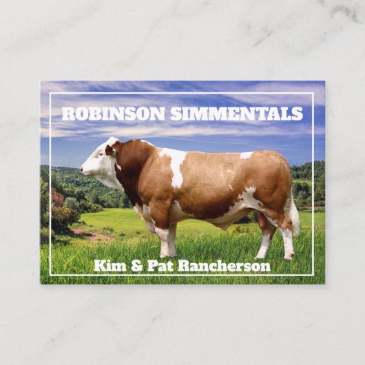 Simmental Bull in Weide    Visitenkarte (Vorderseite)