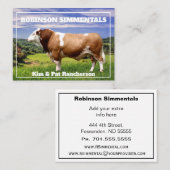 Simmental Bull in Weide    Visitenkarte (Vorne/Hinten)